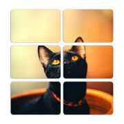 Магнитные фотопазлы 80 на 50 набор 6 штук 