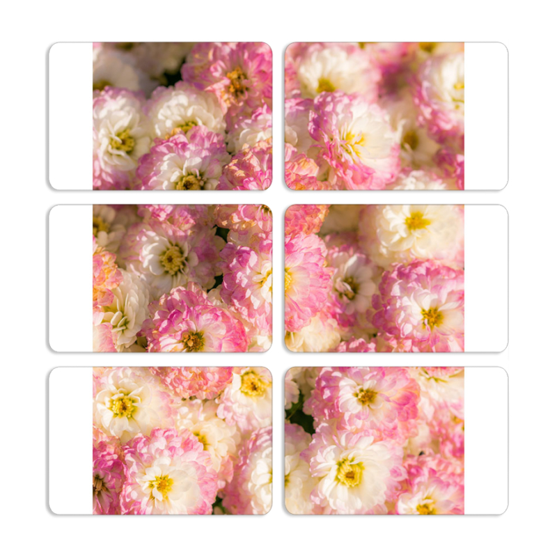 Магнитные фотопазлы 80 на 50 набор 6 штук 