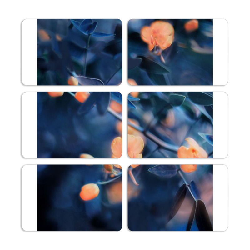 Магнитные фотопазлы 80 на 50 набор 6 штук 