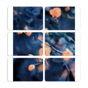 Магнитные фотопазлы 80 на 50 набор 6 штук 