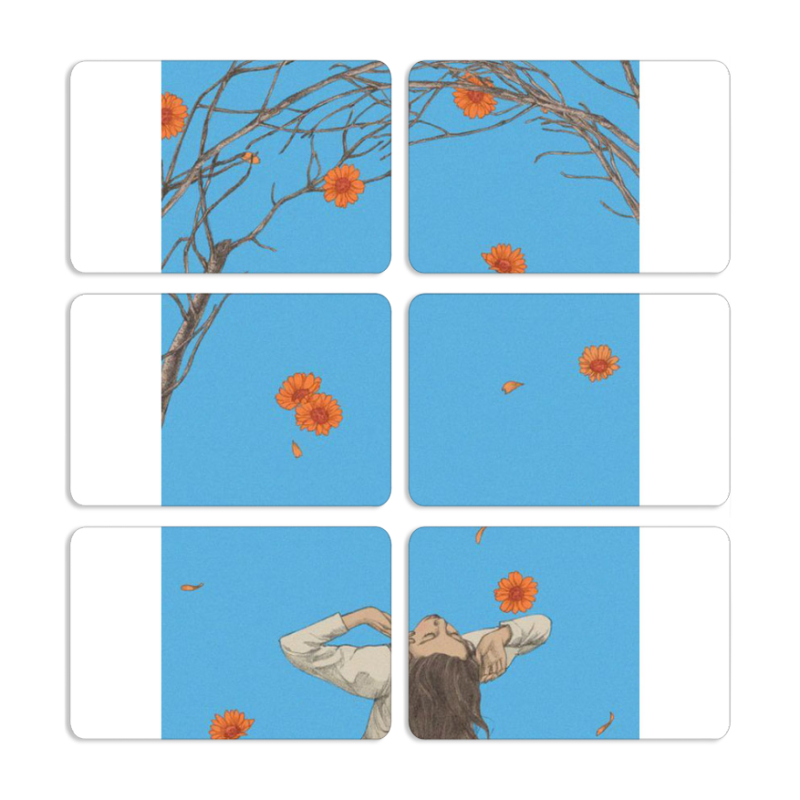 Магнитные фотопазлы 80 на 50 набор 6 штук 