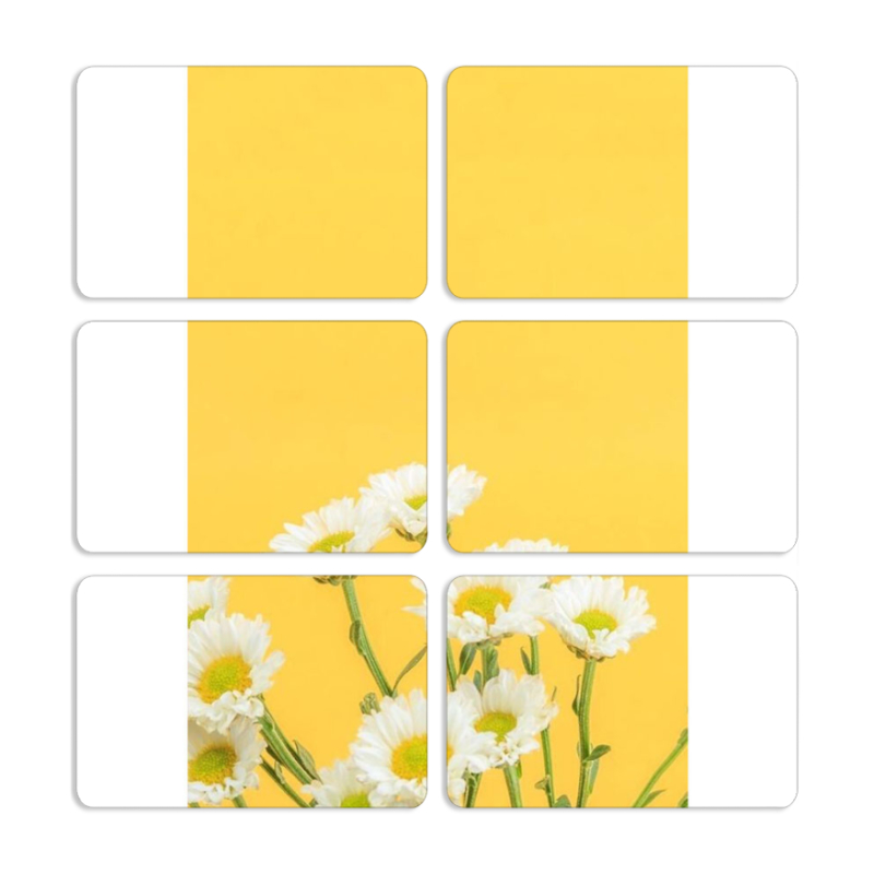 Магнитные фотопазлы 80 на 50 набор 6 штук 