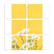 Магнитные фотопазлы 80 на 50 набор 6 штук 