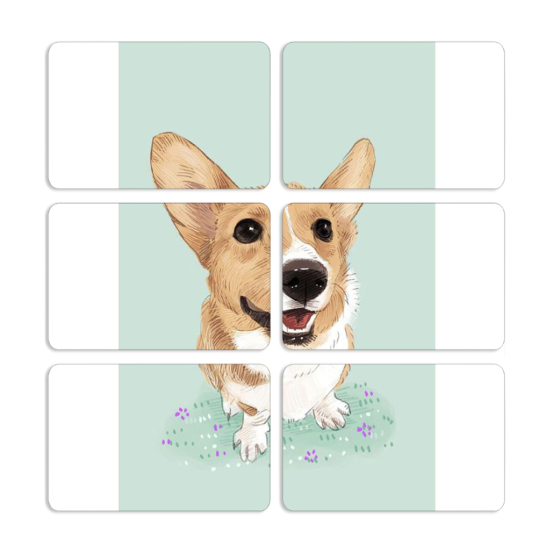 Магнитные фотопазлы 80 на 50 набор 6 штук 