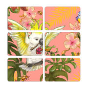 Магнитные фотопазлы 80 на 50 набор 6 штук 