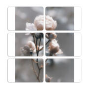 Магнитные фотопазлы 80 на 50 набор 6 штук 