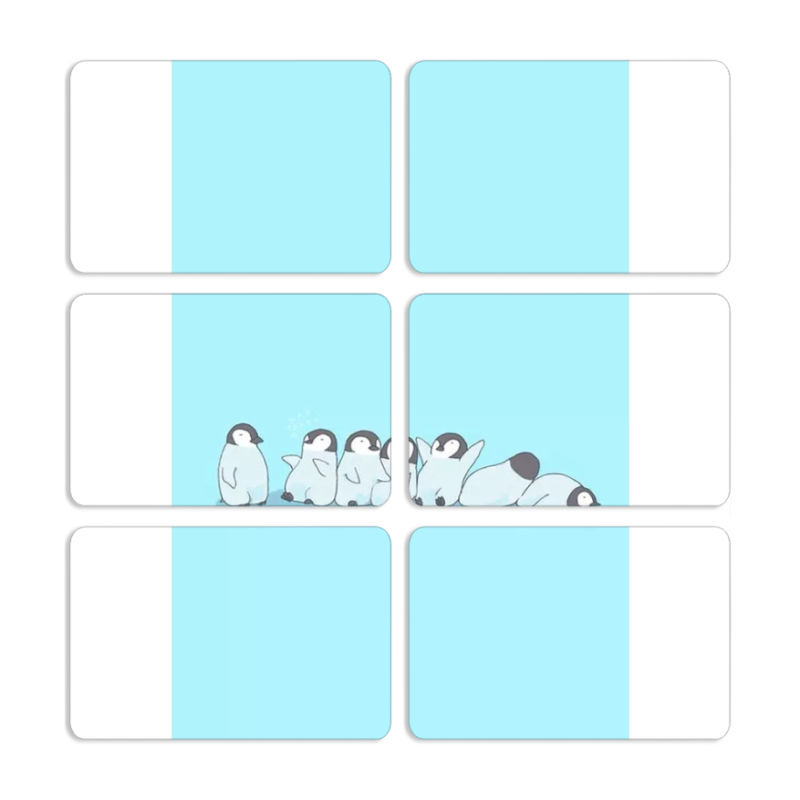 Магнитные фотопазлы 80 на 50 набор 6 штук 