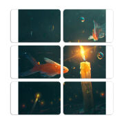 Магнитные фотопазлы 80 на 50 набор 6 штук 