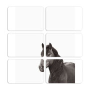 Магнитные фотопазлы 80 на 50 набор 6 штук 