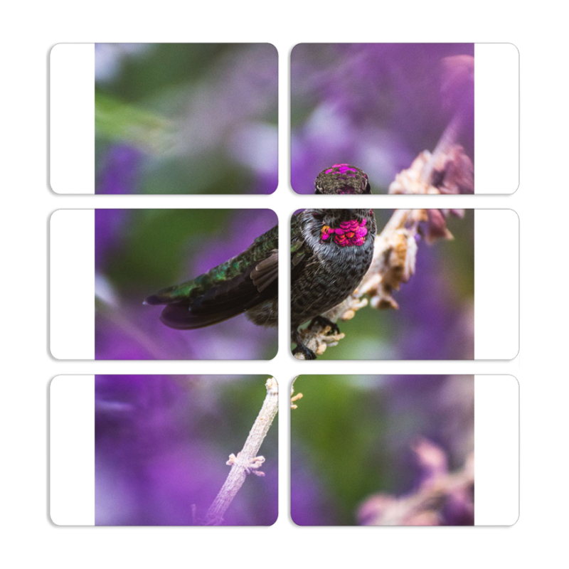 Магнитные фотопазлы 80 на 50 набор 6 штук 