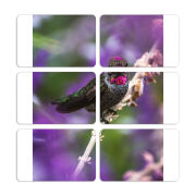 Магнитные фотопазлы 80 на 50 набор 6 штук 