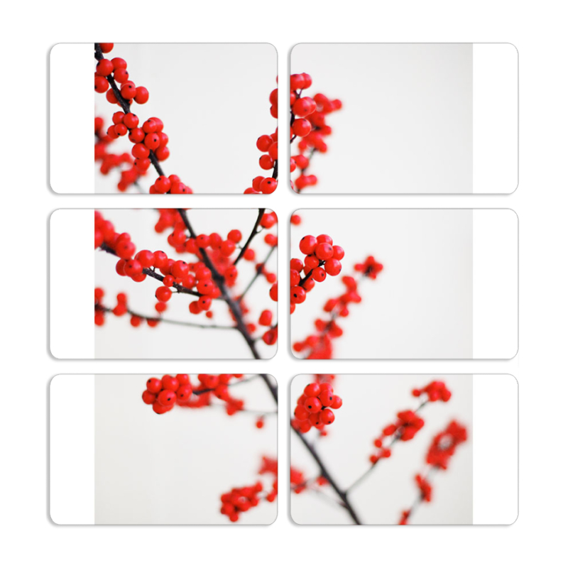 Магнитные фотопазлы 80 на 50 набор 6 штук 