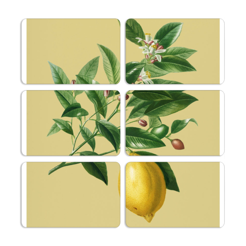 Магнитные фотопазлы 80 на 50 набор 6 штук 