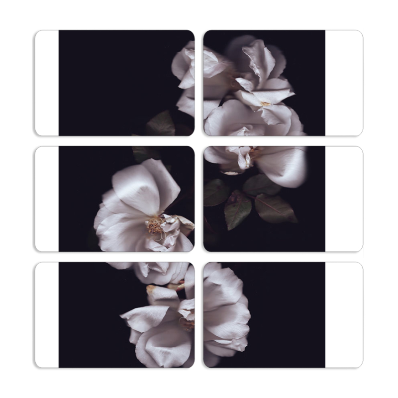 Магнитные фотопазлы 80 на 50 набор 6 штук 