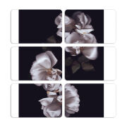 Магнитные фотопазлы 80 на 50 набор 6 штук 