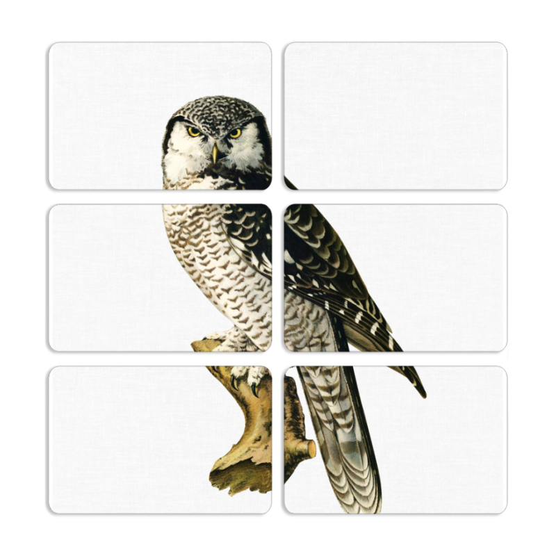 Магнитные фотопазлы 80 на 50 набор 6 штук 