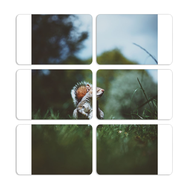 Магнитные фотопазлы 80 на 50 набор 6 штук 