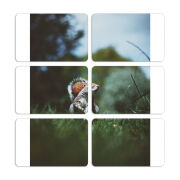 Магнитные фотопазлы 80 на 50 набор 6 штук 