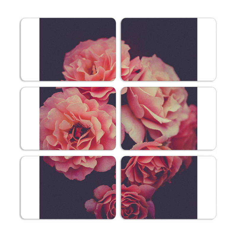 Магнитные фотопазлы 80 на 50 набор 6 штук 