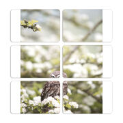 Магнитные фотопазлы 80 на 50 набор 6 штук 