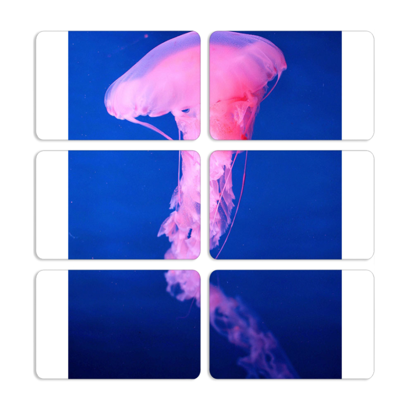 Магнитные фотопазлы 80 на 50 набор 6 штук 