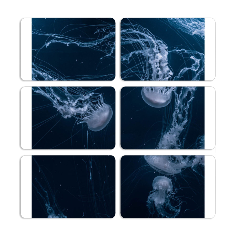 Магнитные фотопазлы 80 на 50 набор 6 штук 