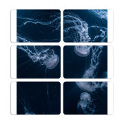 Магнитные фотопазлы 80 на 50 набор 6 штук 