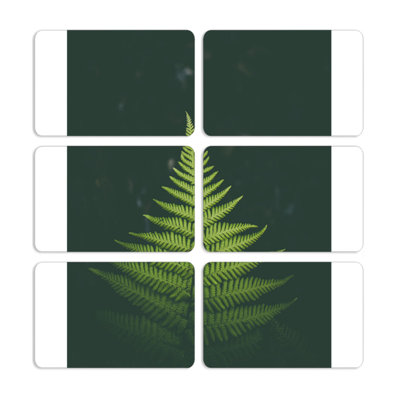 Магнитные фотопазлы 80 на 50 набор 6 штук 