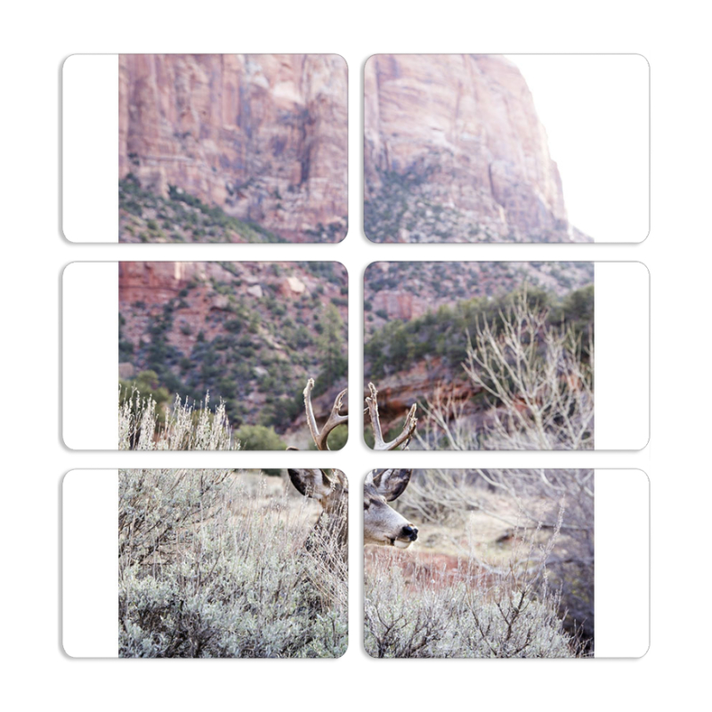 Магнитные фотопазлы 80 на 50 набор 6 штук 