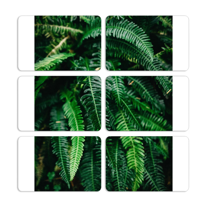 Магнитные фотопазлы 80 на 50 набор 6 штук 