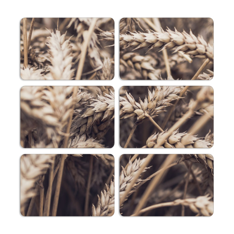 Магнитные фотопазлы 80 на 50 набор 6 штук 