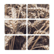 Магнитные фотопазлы 80 на 50 набор 6 штук 