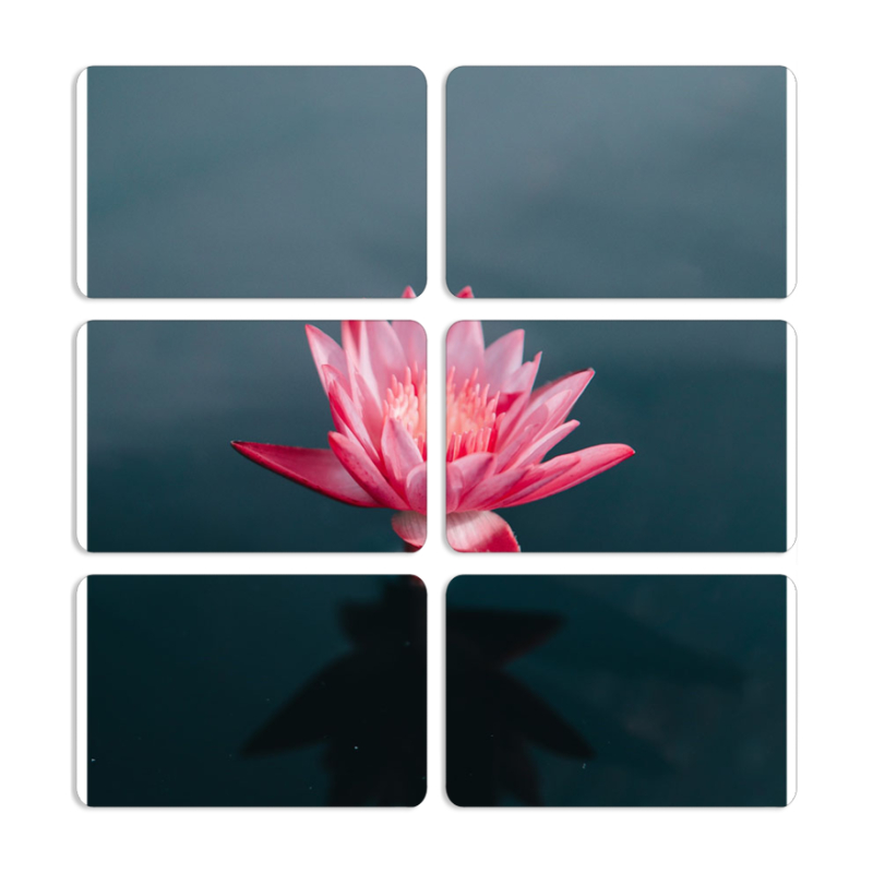 Магнитные фотопазлы 80 на 50 набор 6 штук 