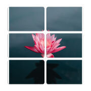 Магнитные фотопазлы 80 на 50 набор 6 штук 