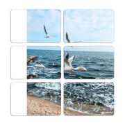 Магнитные фотопазлы 80 на 50 набор 6 штук 