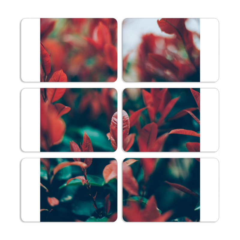 Магнитные фотопазлы 80 на 50 набор 6 штук 