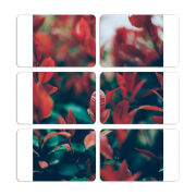 Магнитные фотопазлы 80 на 50 набор 6 штук 