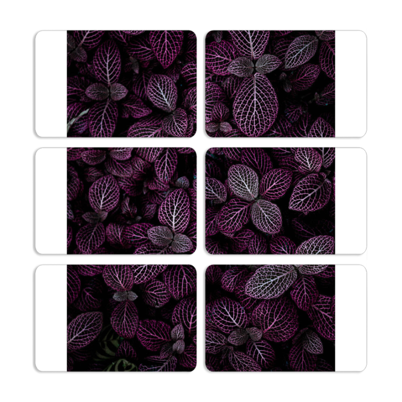 Магнитные фотопазлы 80 на 50 набор 6 штук 