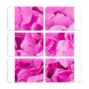 Магнитные фотопазлы 80 на 50 набор 6 штук Pink Flowers