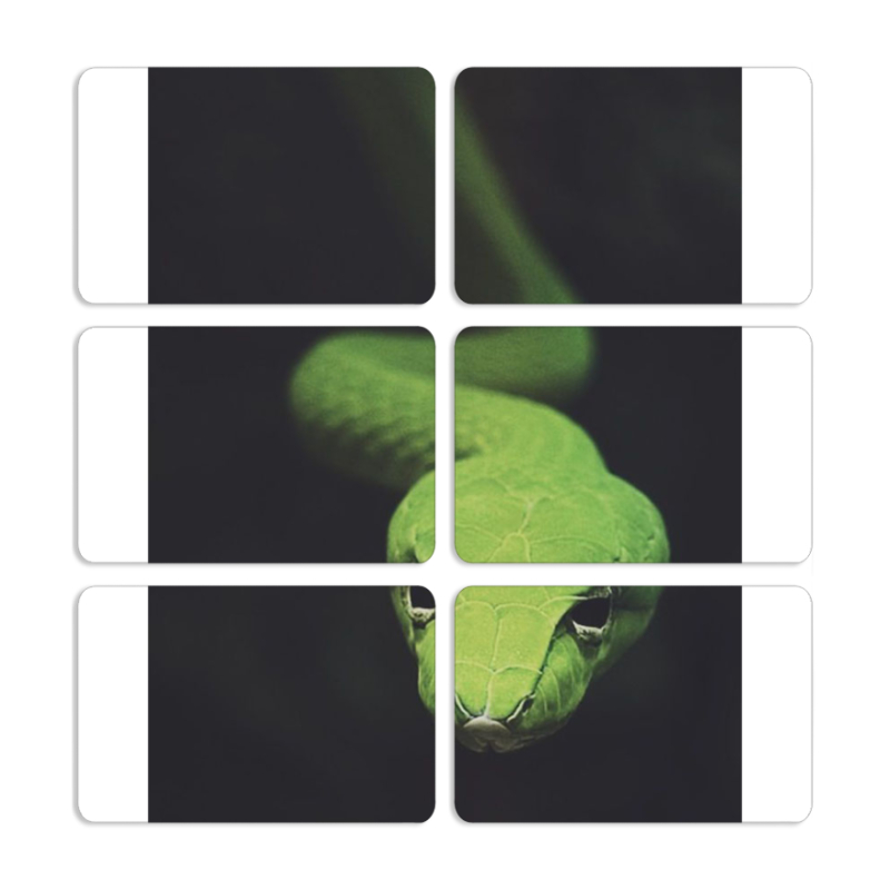 Магнитные фотопазлы 80 на 50 набор 6 штук 