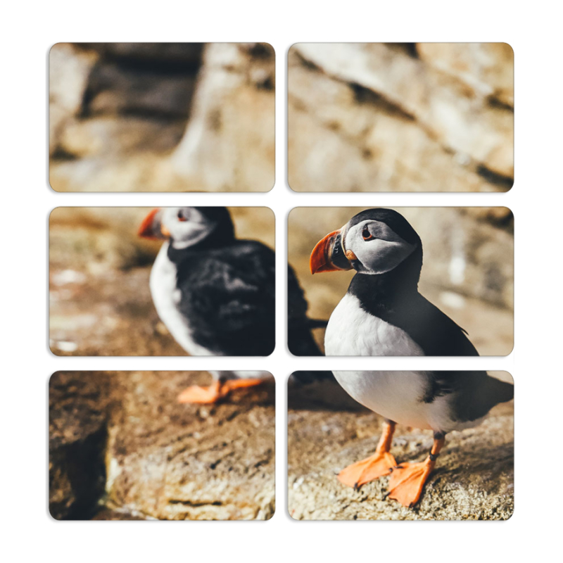 Магнитные фотопазлы 80 на 50 набор 6 штук 