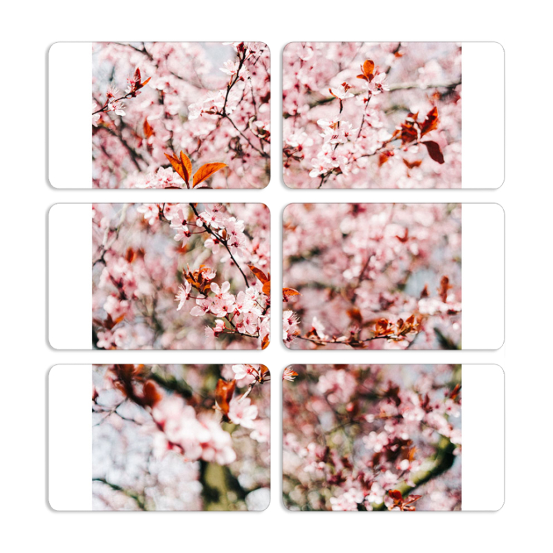 Магнитные фотопазлы 80 на 50 набор 6 штук 