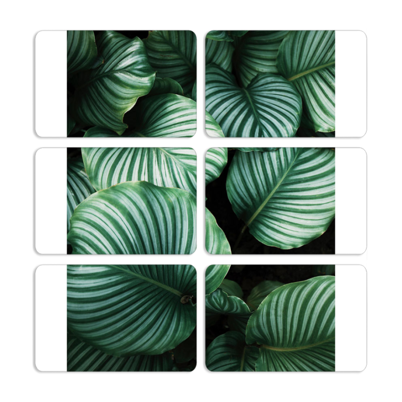 Магнитные фотопазлы 80 на 50 набор 6 штук 