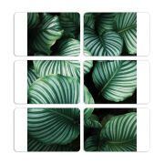 Магнитные фотопазлы 80 на 50 набор 6 штук 