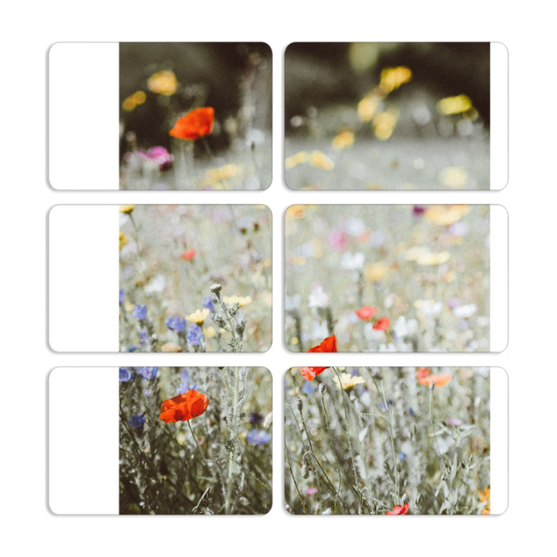 Магнитные фотопазлы 80 на 50 набор 6 штук 