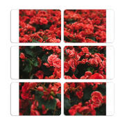 Магнитные фотопазлы 80 на 50 набор 6 штук 