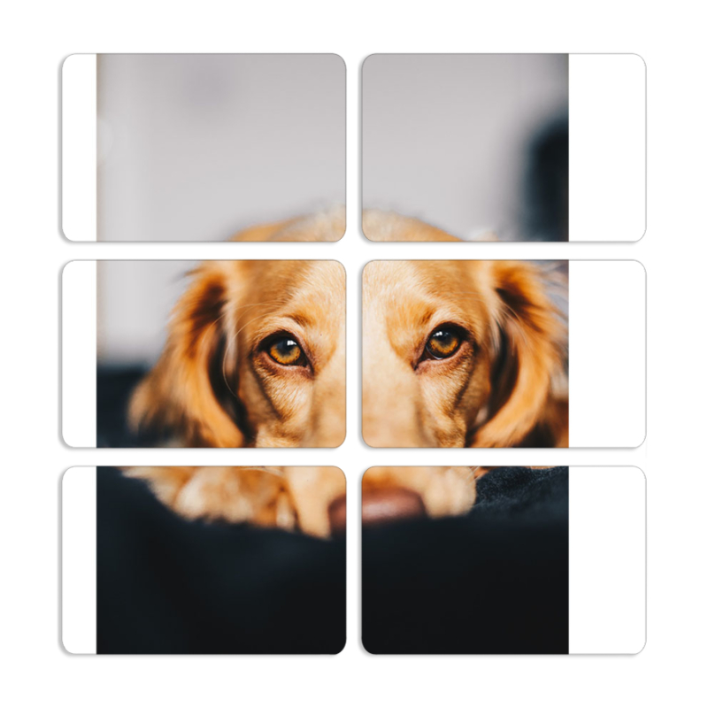 Магнитные фотопазлы 80 на 50 набор 6 штук 