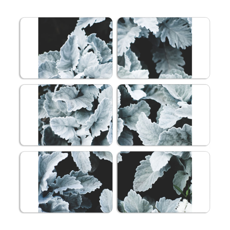 Магнитные фотопазлы 80 на 50 набор 6 штук 