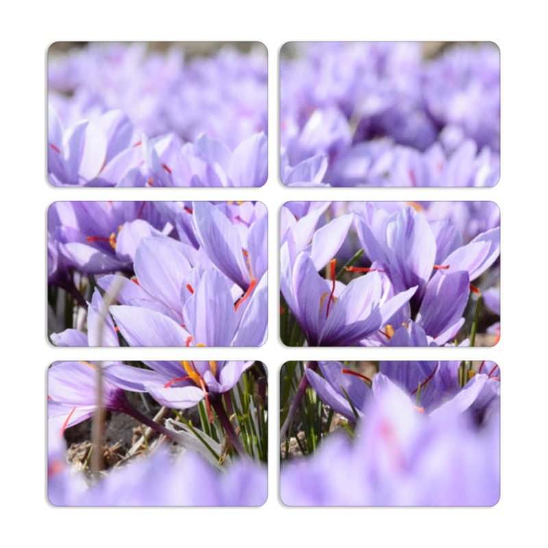 Магнитные фотопазлы 80 на 50 набор 6 штук 