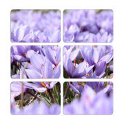 Магнитные фотопазлы 80 на 50 набор 6 штук 